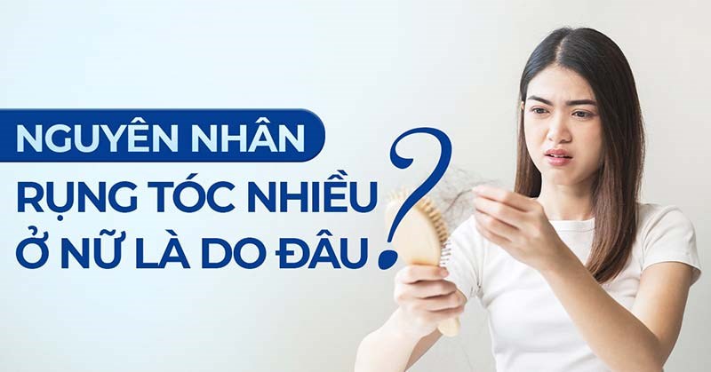 Tóc Rụng Nhiều Ở Phụ Nữ Là Do Đâu? Nguyên Nhân Thường Gặp Và Cách Nhận Biết
